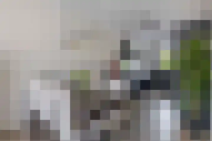 Dr Zamenhofpad 8 Schiedam thumbnail 14