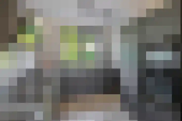 Dr Zamenhofpad 8 Schiedam thumbnail 16