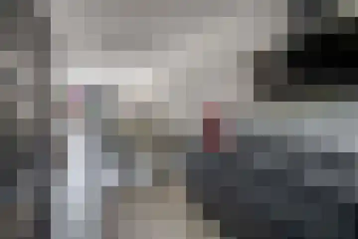 Dr Zamenhofpad 8 Schiedam thumbnail 18