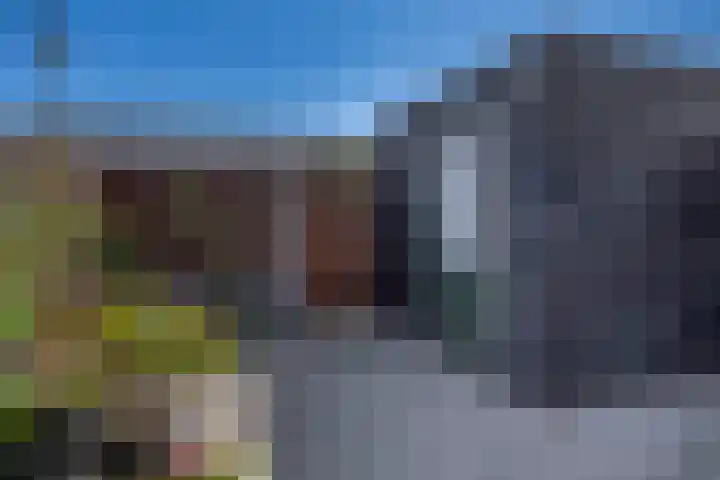 Dr Zamenhofpad 8 Schiedam thumbnail 19