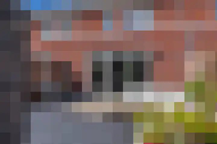 Dr Zamenhofpad 8 Schiedam thumbnail 21