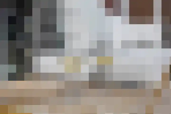 Dr Zamenhofpad 8 Schiedam thumbnail 22