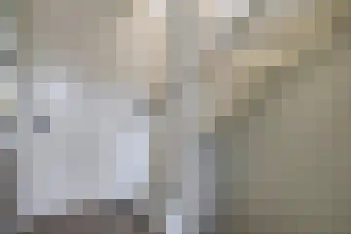 Dr Zamenhofpad 8 Schiedam thumbnail 26