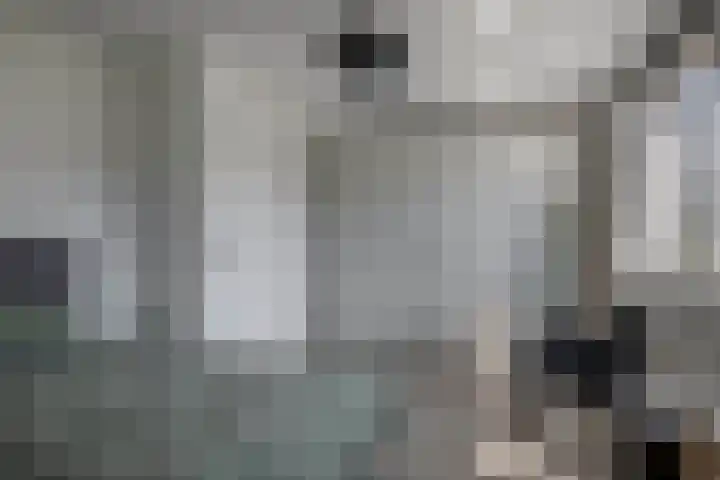 Dr Zamenhofpad 8 Schiedam thumbnail 28