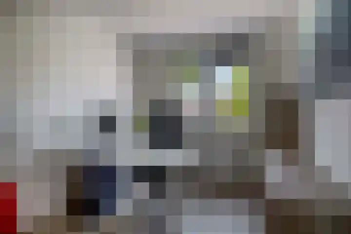 Dr Zamenhofpad 8 Schiedam thumbnail 30