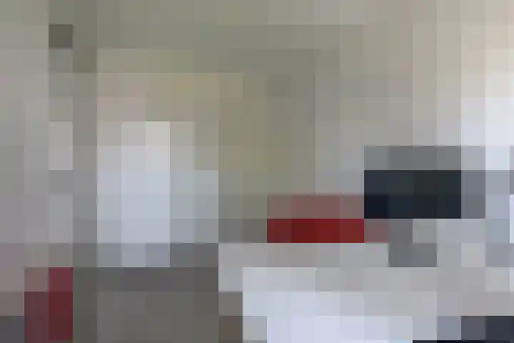 Dr Zamenhofpad 8 Schiedam thumbnail 31