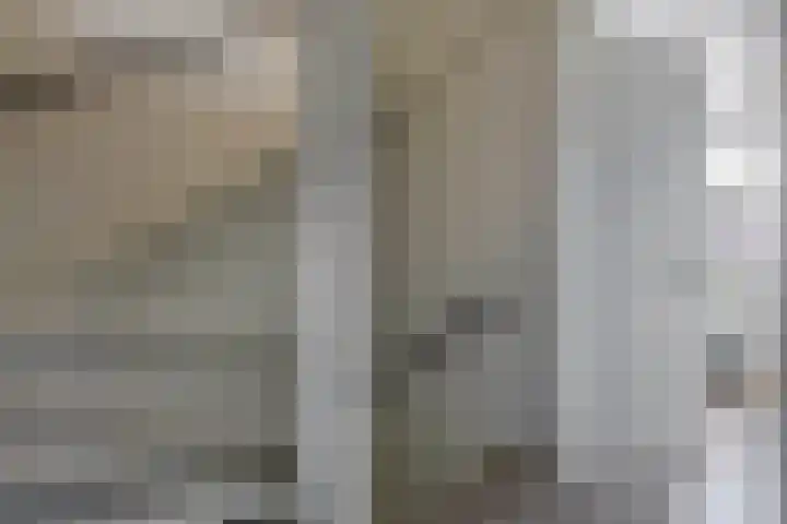 Dr Zamenhofpad 8 Schiedam thumbnail 34