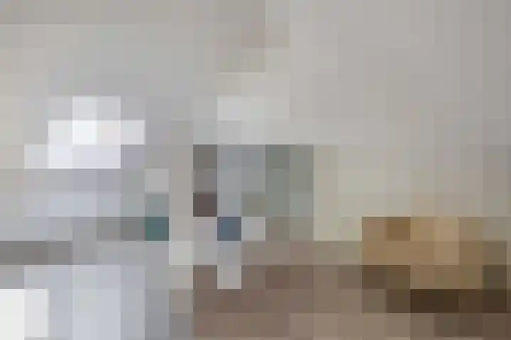 Dr Zamenhofpad 8 Schiedam thumbnail 36