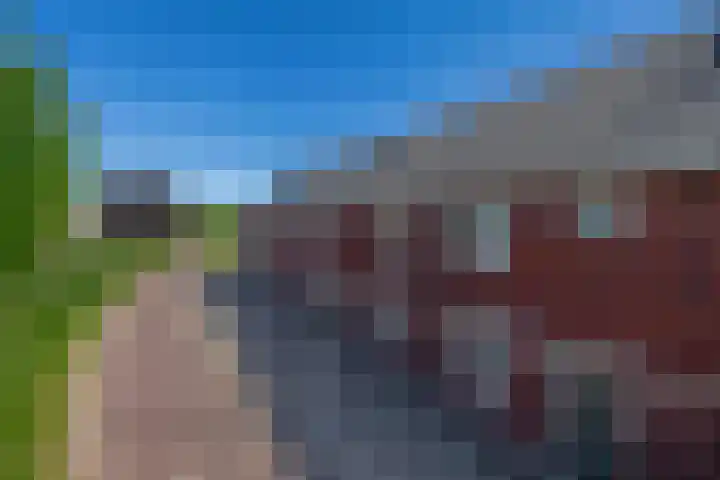 Dr Zamenhofpad 8 Schiedam thumbnail 39