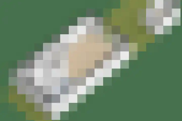 Dr Zamenhofpad 8 Schiedam thumbnail 42
