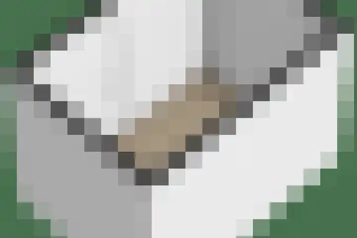 Dr Zamenhofpad 8 Schiedam thumbnail 50