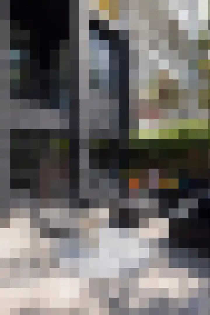 Dr. Zamenhofstraat 59 C Rotterdam thumbnail 53