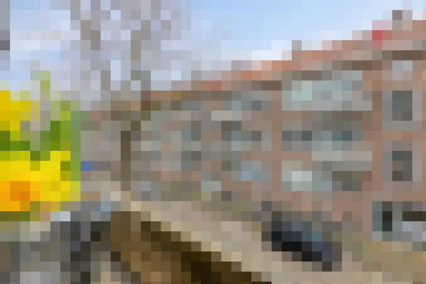 Dr. Zamenhofstraat 65 A Rotterdam thumbnail 12