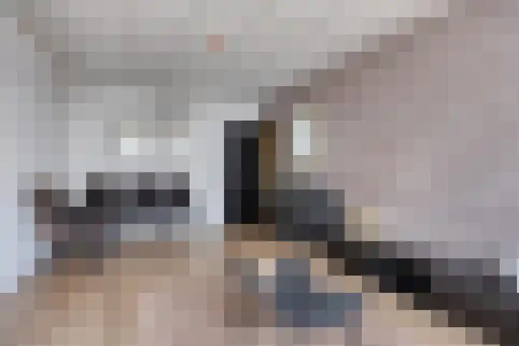 Draadbaan 21 A Leiderdorp thumbnail 6