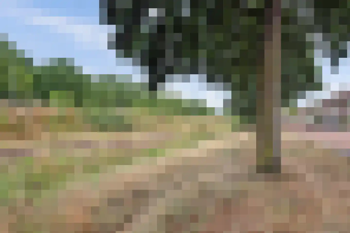 Draadeind 31 Best thumbnail 41