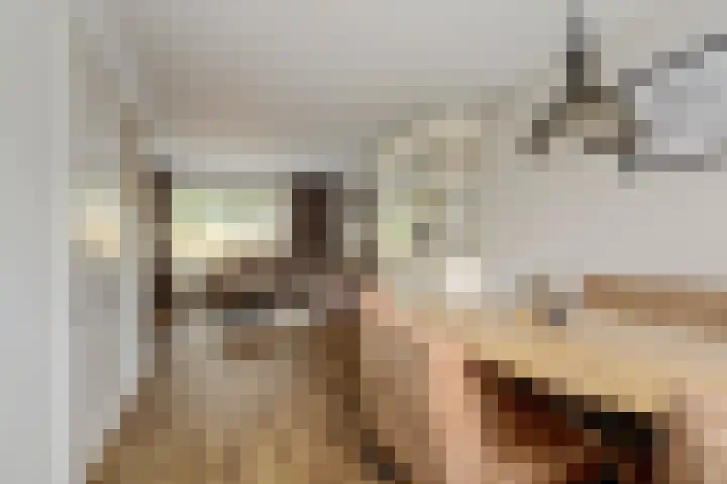 Draadeind 31 Best thumbnail 6