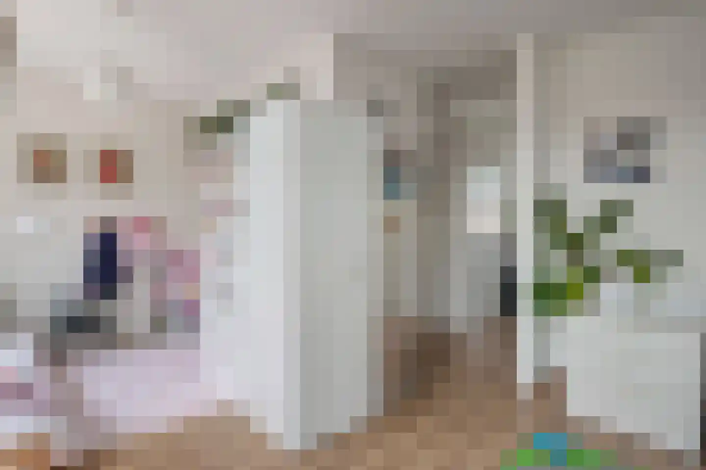 Draadeind 39 Best thumbnail 22