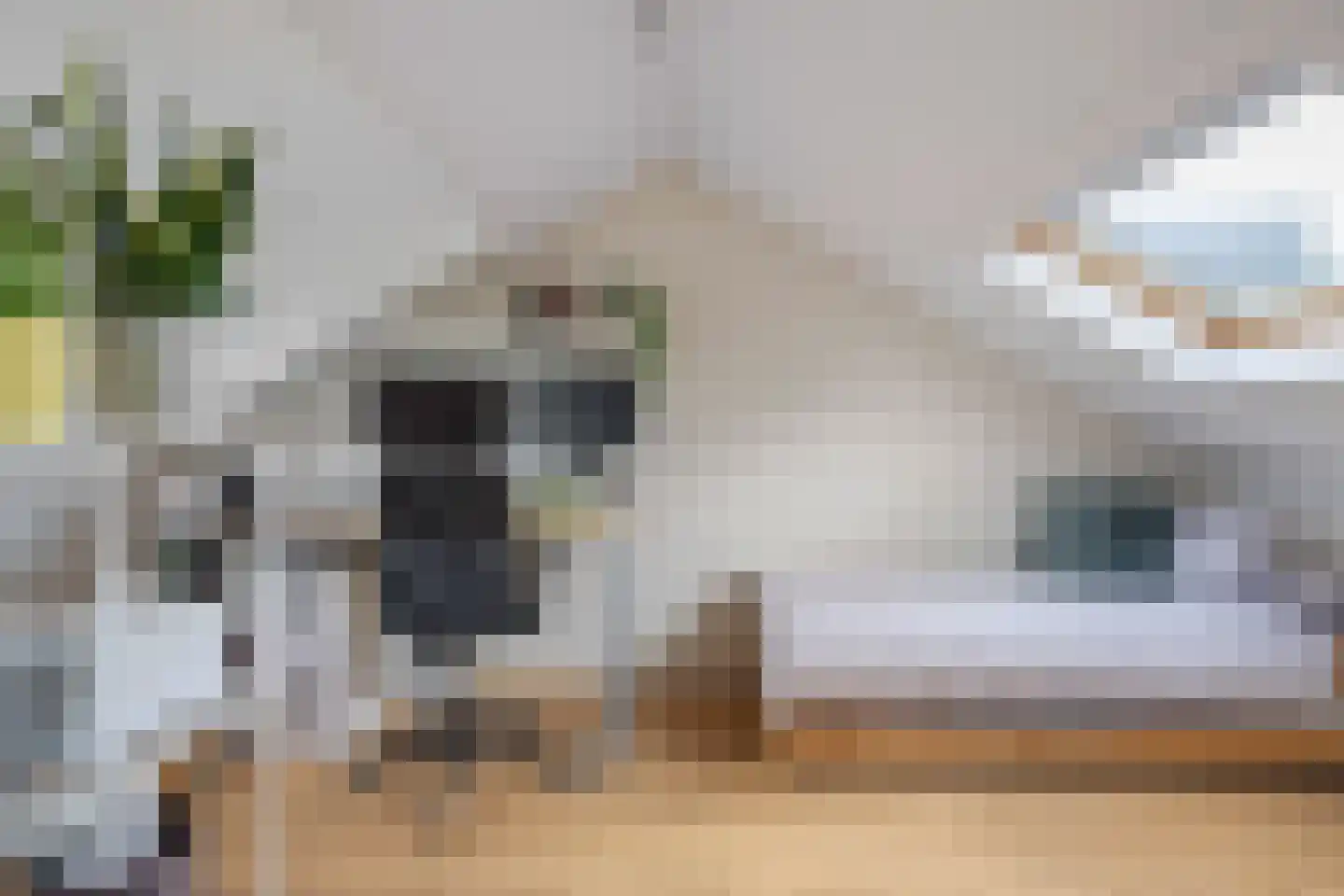 Draadeind 39 Best thumbnail 25