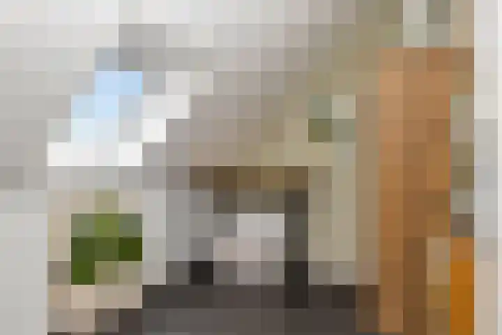 Draadzegge 19 Anna Paulowna thumbnail 32