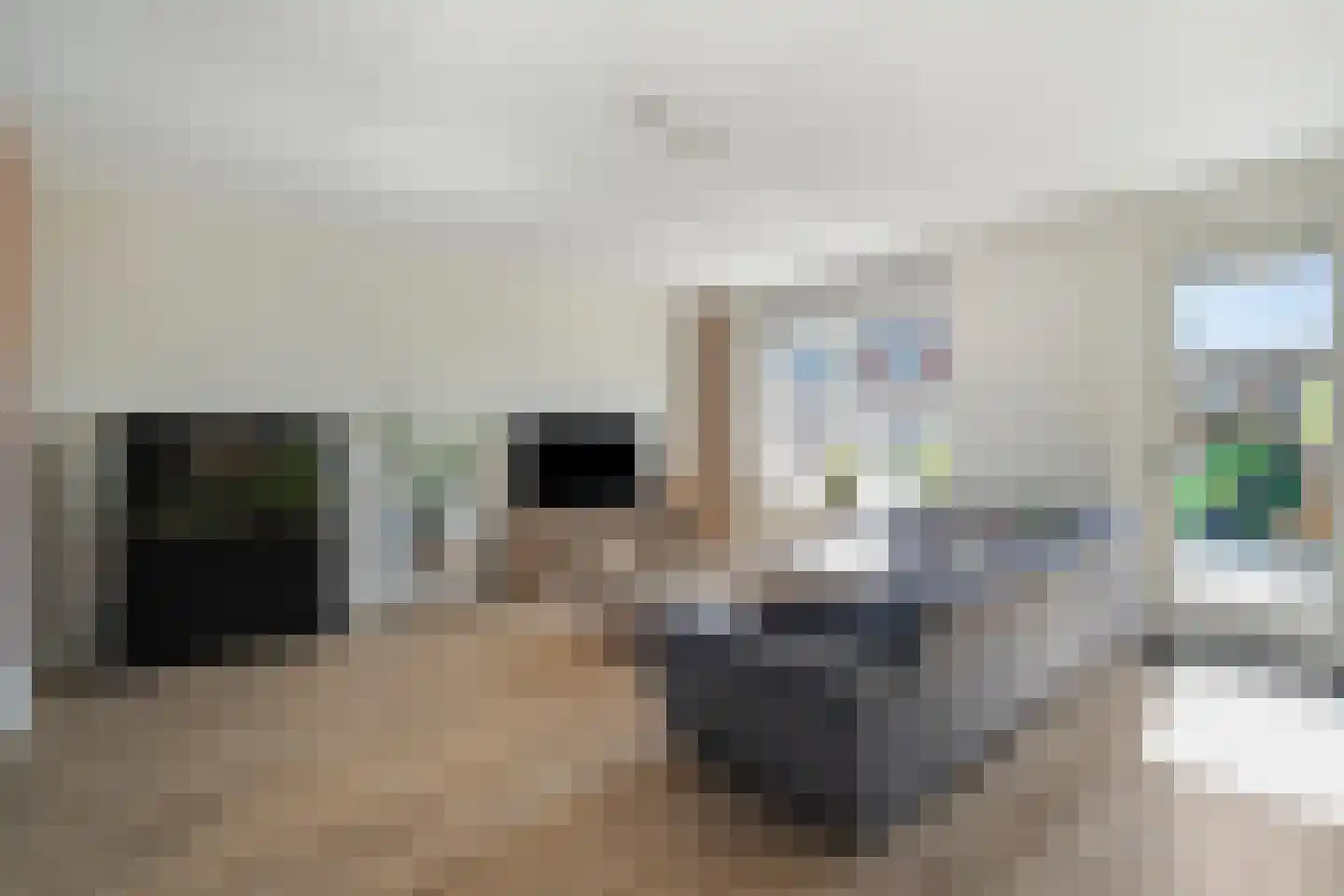 Draadzegge 4 Anna Paulowna thumbnail 11