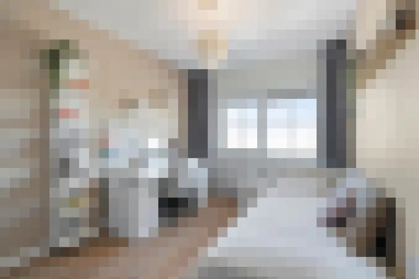 Draadzegge 4 Anna Paulowna thumbnail 20