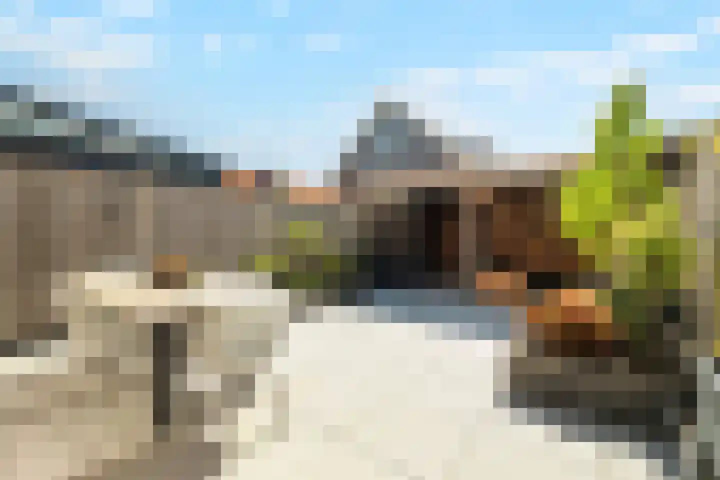 Draadzegge 4 Anna Paulowna thumbnail 4