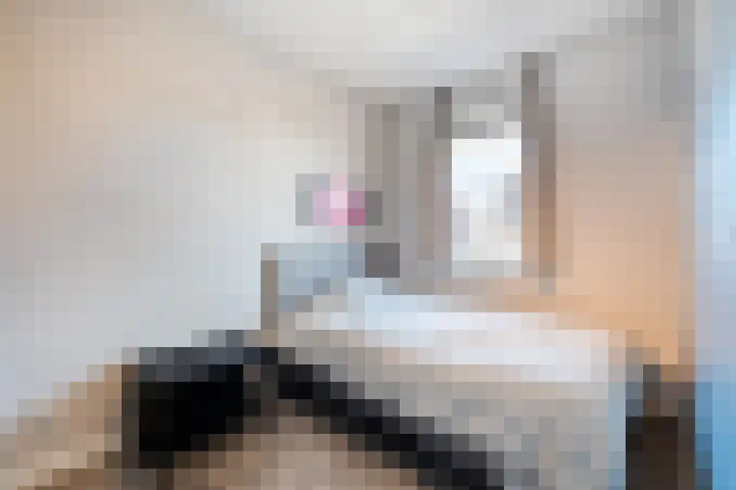 Draadzegge 50 Anna Paulowna thumbnail 19