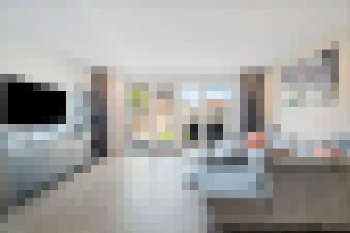 Draadzegge 50 Anna Paulowna thumbnail 4