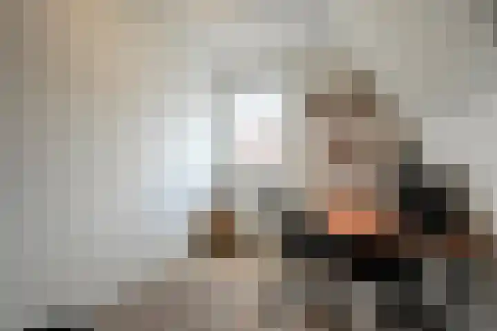 Draadzegge 56 Anna Paulowna thumbnail 24