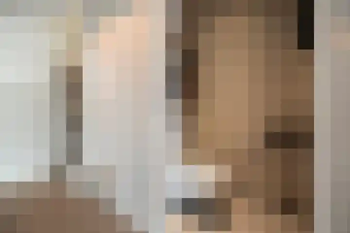 Draadzegge 56 Anna Paulowna thumbnail 4