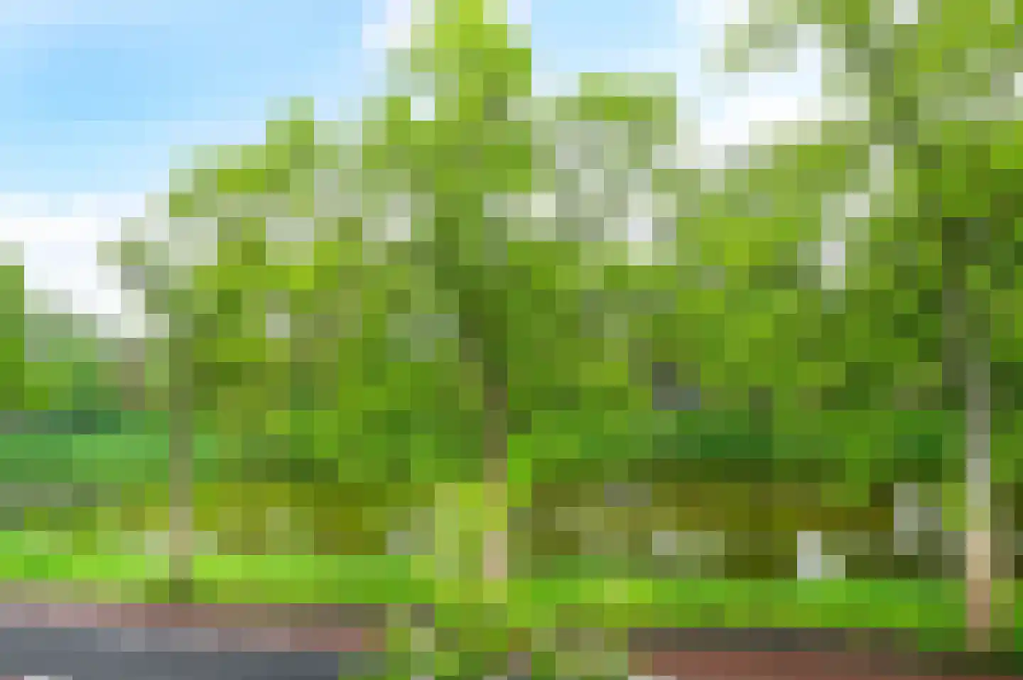 Draafsingel 30 Hoorn thumbnail 18