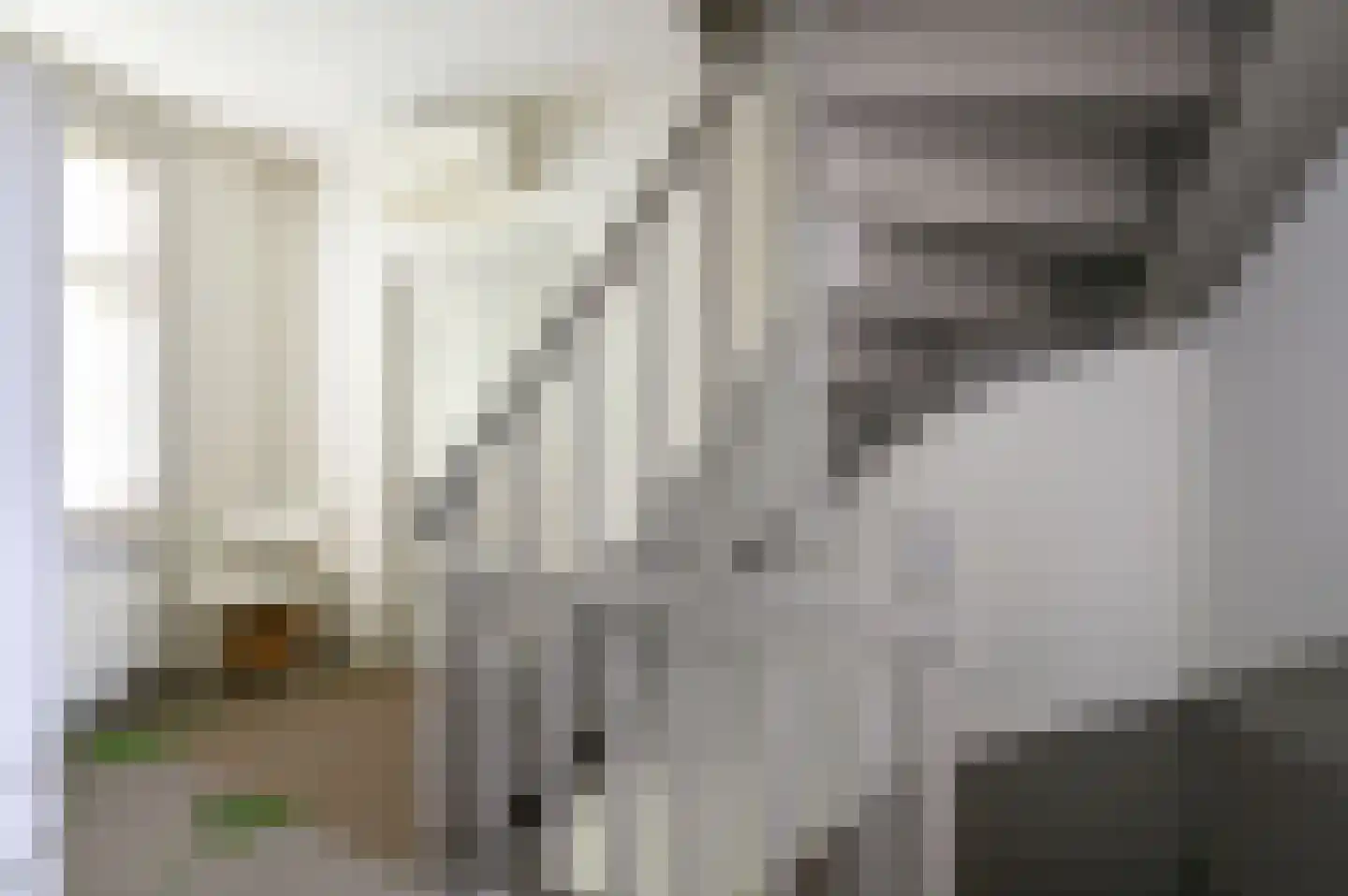 Draafsingel 30 Hoorn thumbnail 20