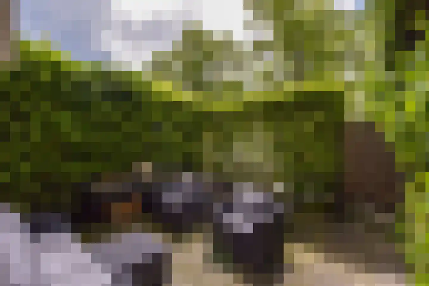 Draafsingel 30 Hoorn thumbnail 25