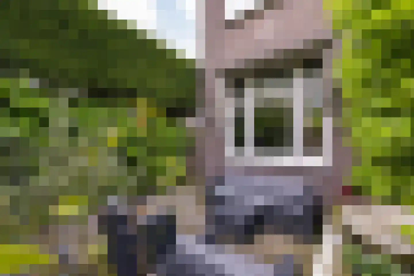 Draafsingel 30 Hoorn thumbnail 26