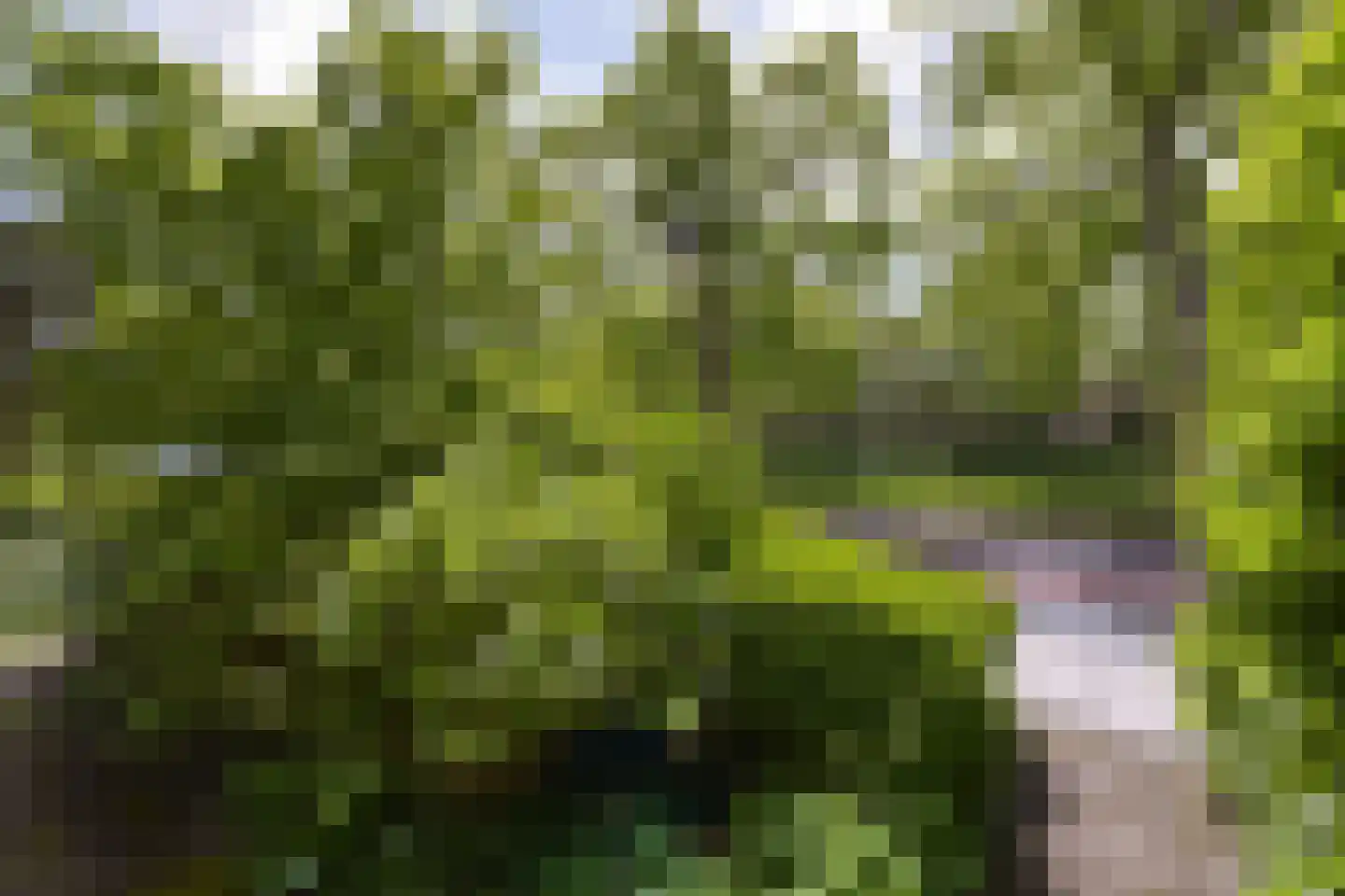 Draafsingel 30 Hoorn thumbnail 32