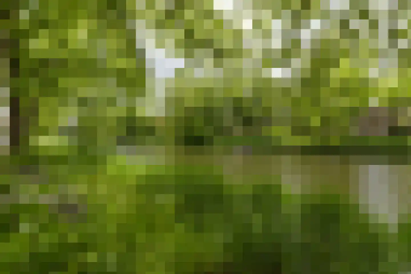 Draafsingel 30 Hoorn thumbnail 33