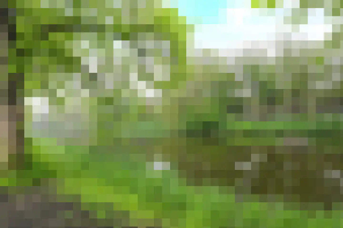Draafsingel 30 Hoorn thumbnail 34