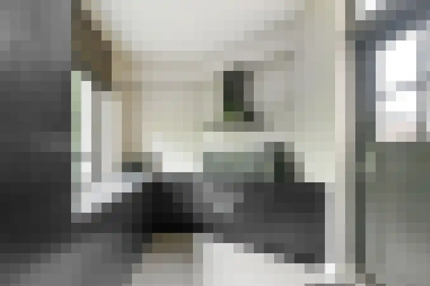 Draafsingel 30 Hoorn thumbnail 6