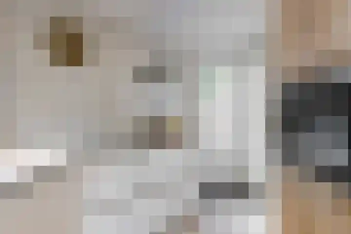 Draafsingel 8 Hoorn thumbnail 11
