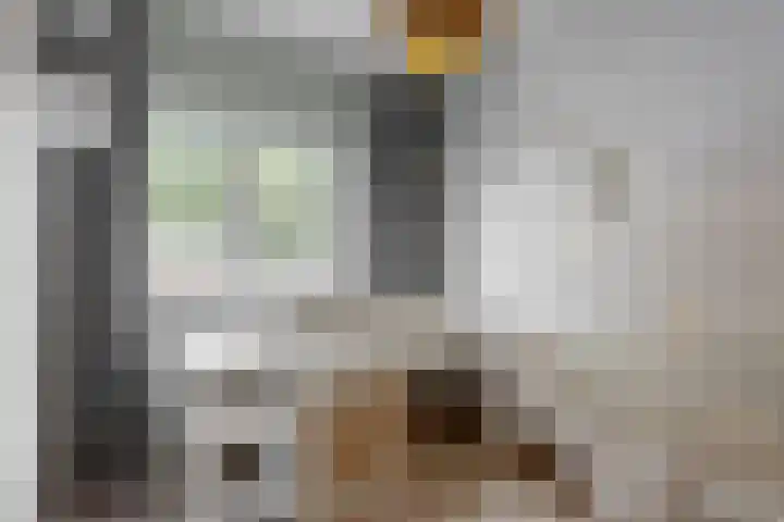 Draafsingel 8 Hoorn thumbnail 24