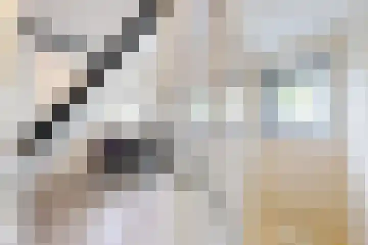Draafsingel 8 Hoorn thumbnail 27