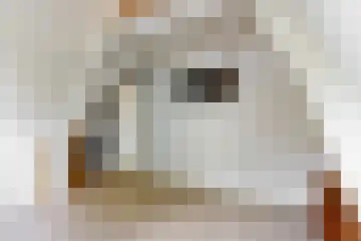 Draafsingel 8 Hoorn thumbnail 30