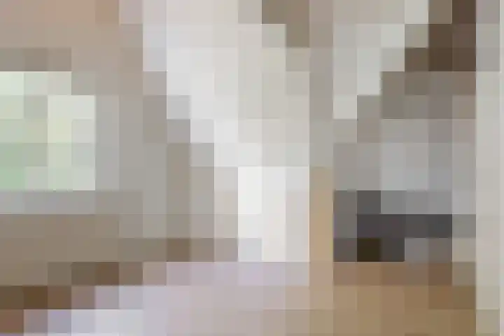 Draafsingel 8 Hoorn thumbnail 32