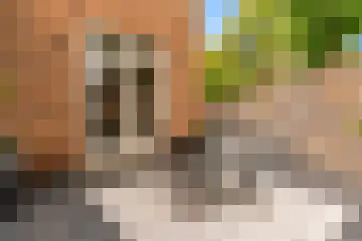 Draafsingel 8 Hoorn thumbnail 34
