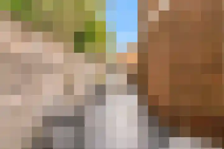 Draafsingel 8 Hoorn thumbnail 36