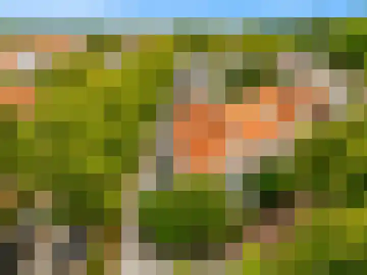 Draafsingel 8 Hoorn thumbnail 38