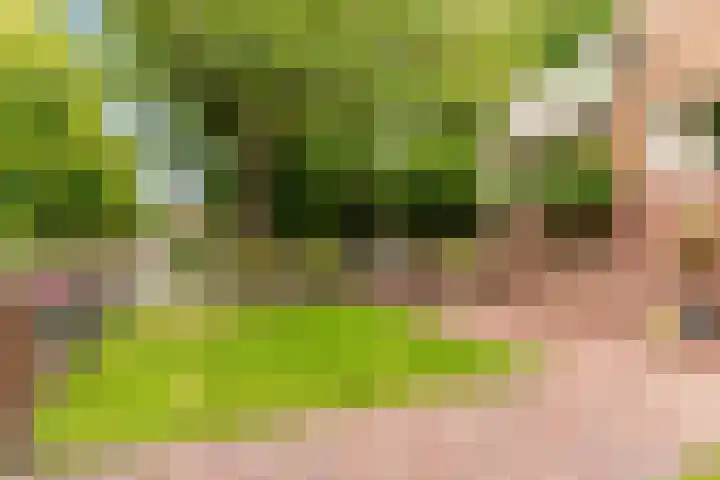 Draafsingel 8 Hoorn thumbnail 40