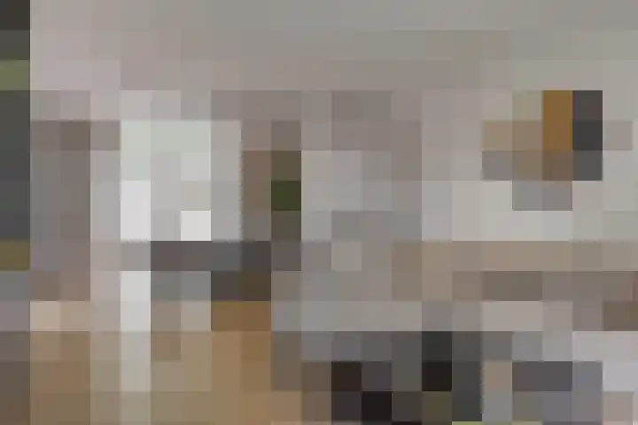 Draafsingel 8 Hoorn thumbnail 6