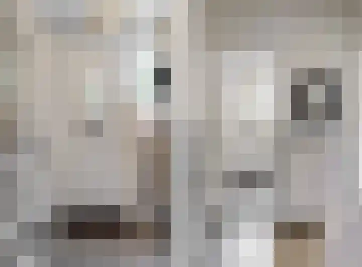Draafsingel 8 Hoorn thumbnail 8