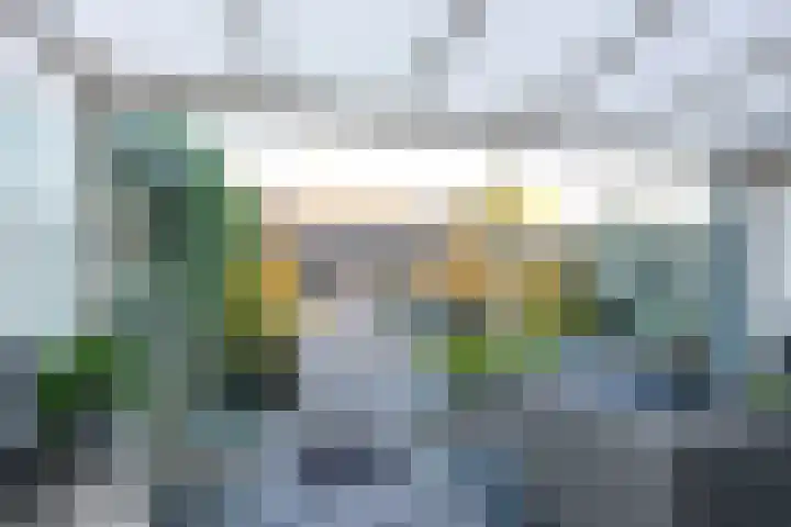 Draagmuur 40 Houten thumbnail 15